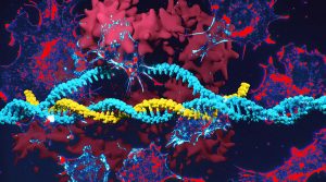 Modifying Genes for Health The CRISPR