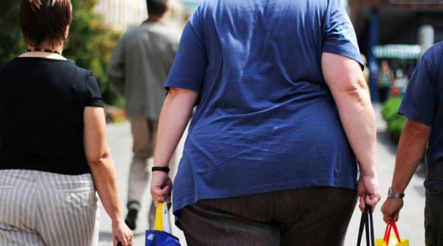 Can Obesity Affect Our Legacy?