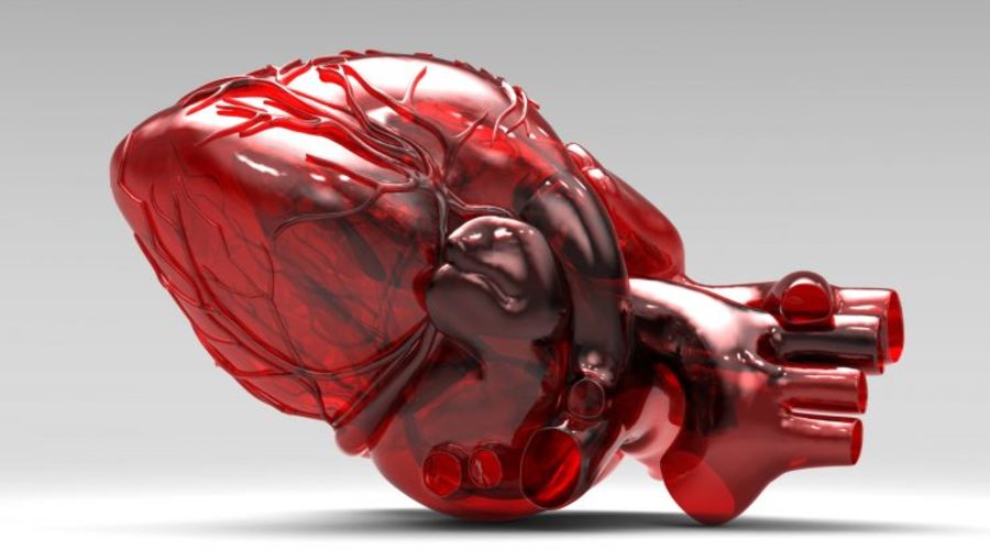 A “FRESH” New Method to 3D Print Human Heart Components