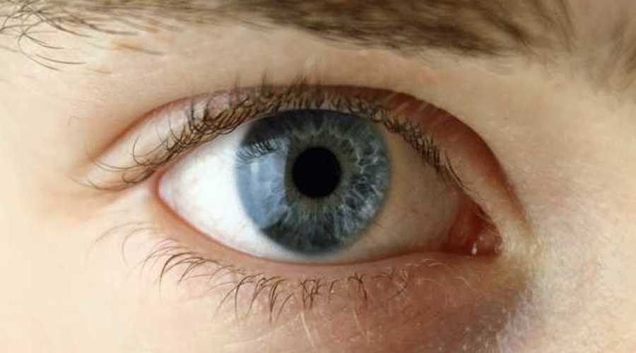 Gene Therapy to Treat Blindness