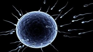 The Gene that Causes Male Infertility